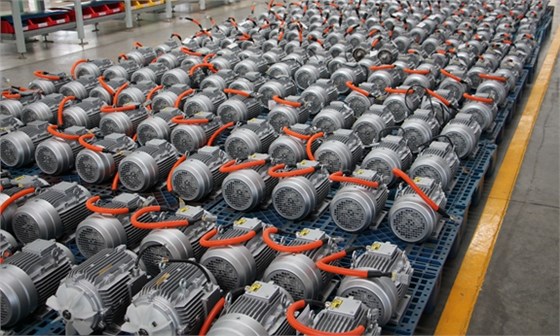 皖南电机:汽车转向泵电机2 皖南电机:汽车转向泵电机2