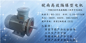 皖南防爆高效电机 皖南防爆高效电机