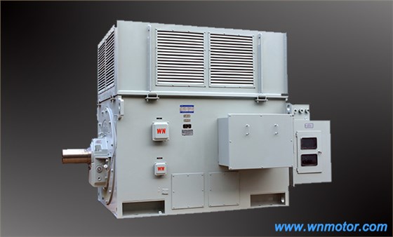 高压电机 高压电机