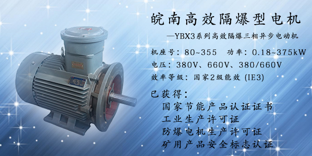 皖南防爆高效电机 皖南防爆高效电机