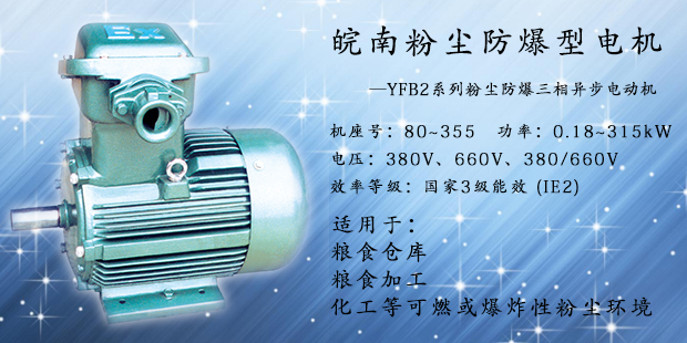 粉尘防爆电机 粉尘防爆电机