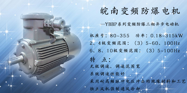 变频防爆电机 变频防爆电机
