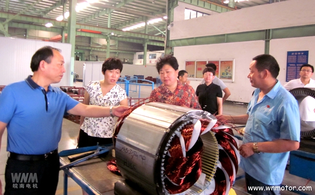 宣城市副市长到皖南电机威能公司视察 宣城市副市长到皖南电机威能公司视察