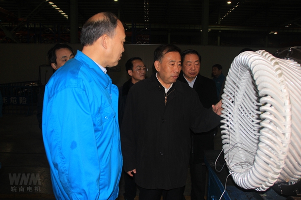 安徽省人大副主任詹夏来来皖南电机考察调研 安徽省人大副主任詹夏来来皖南电机考察调研