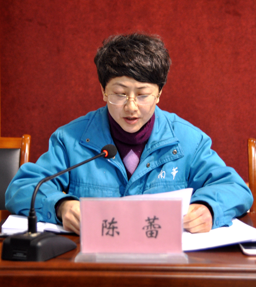 陈蕾作《关于转增股本的议案报告》 陈蕾作《关于转增股本的议案报告》